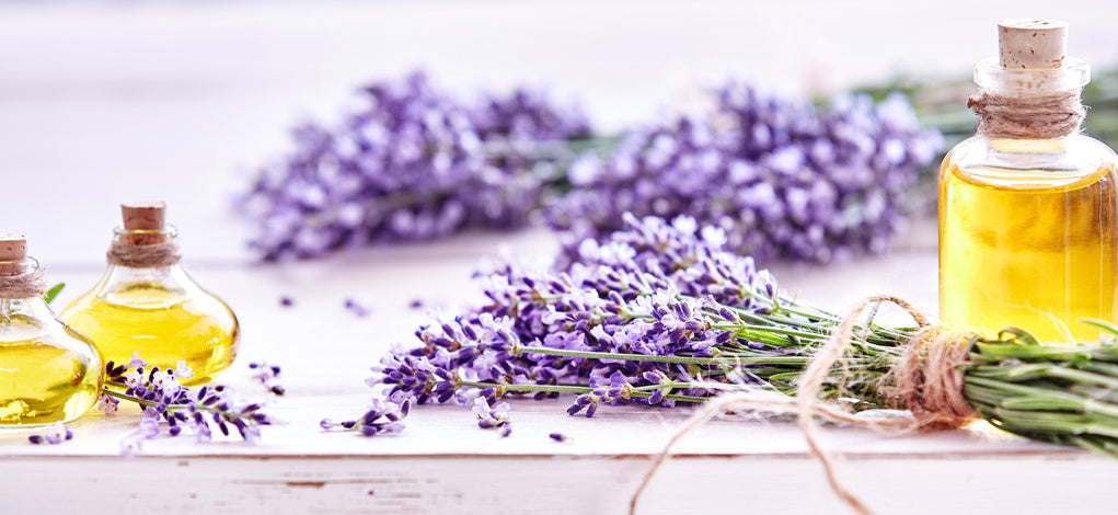 Aromaterapia: oli essenziali e diffusori – Wellness Bazaar