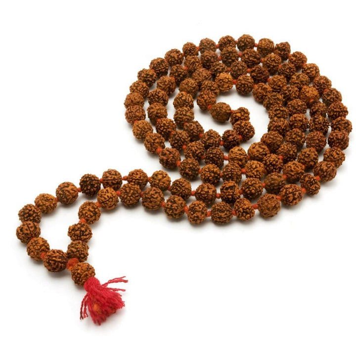 mala rudraksha particolare
