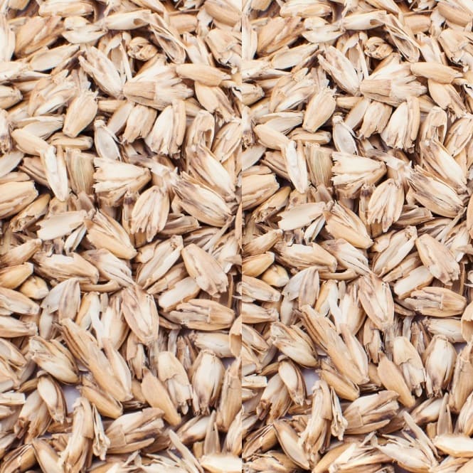 pula di farro
