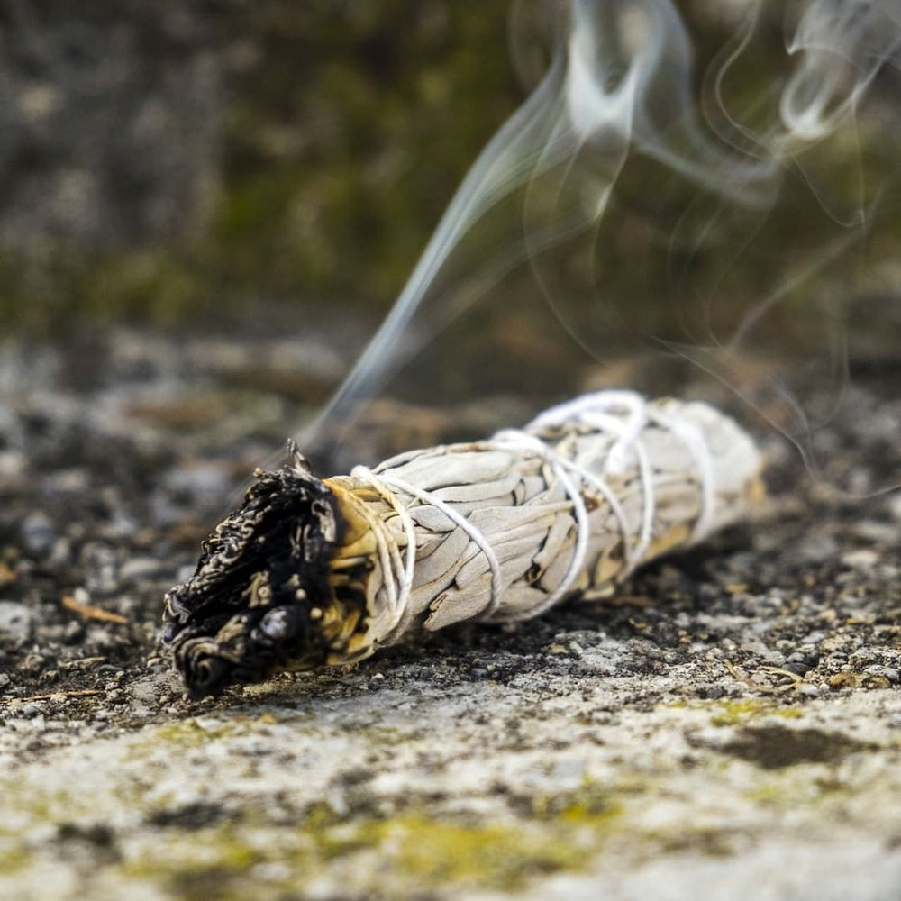 smudge salvia bianca mentre brucia