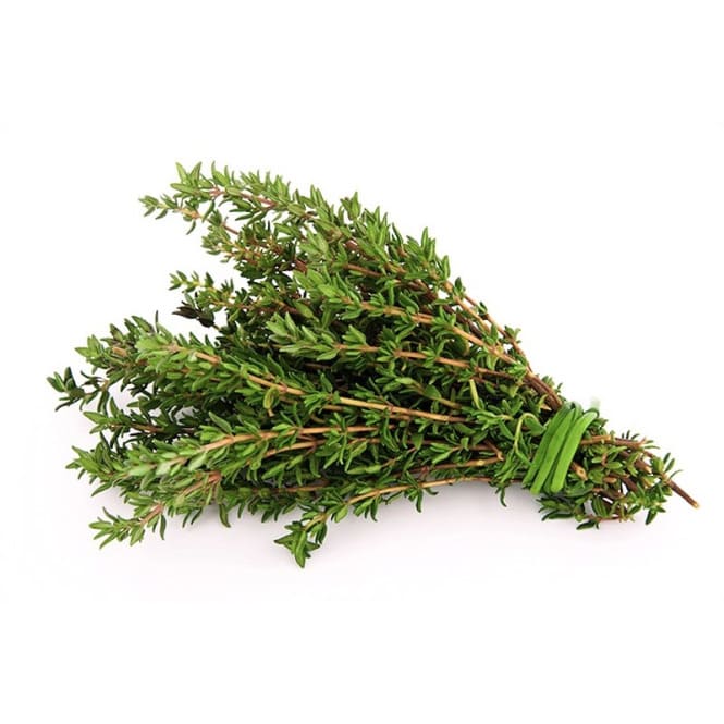 Mazzetto di timo da cui estrarre l'olio essenziale